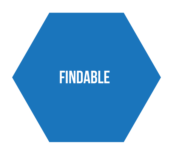 Icon: Findable