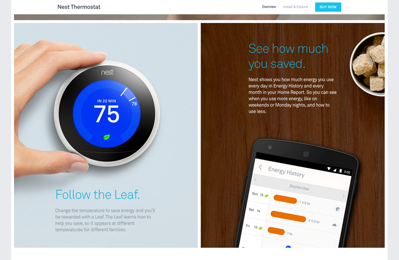 Screenshot of Nest Website