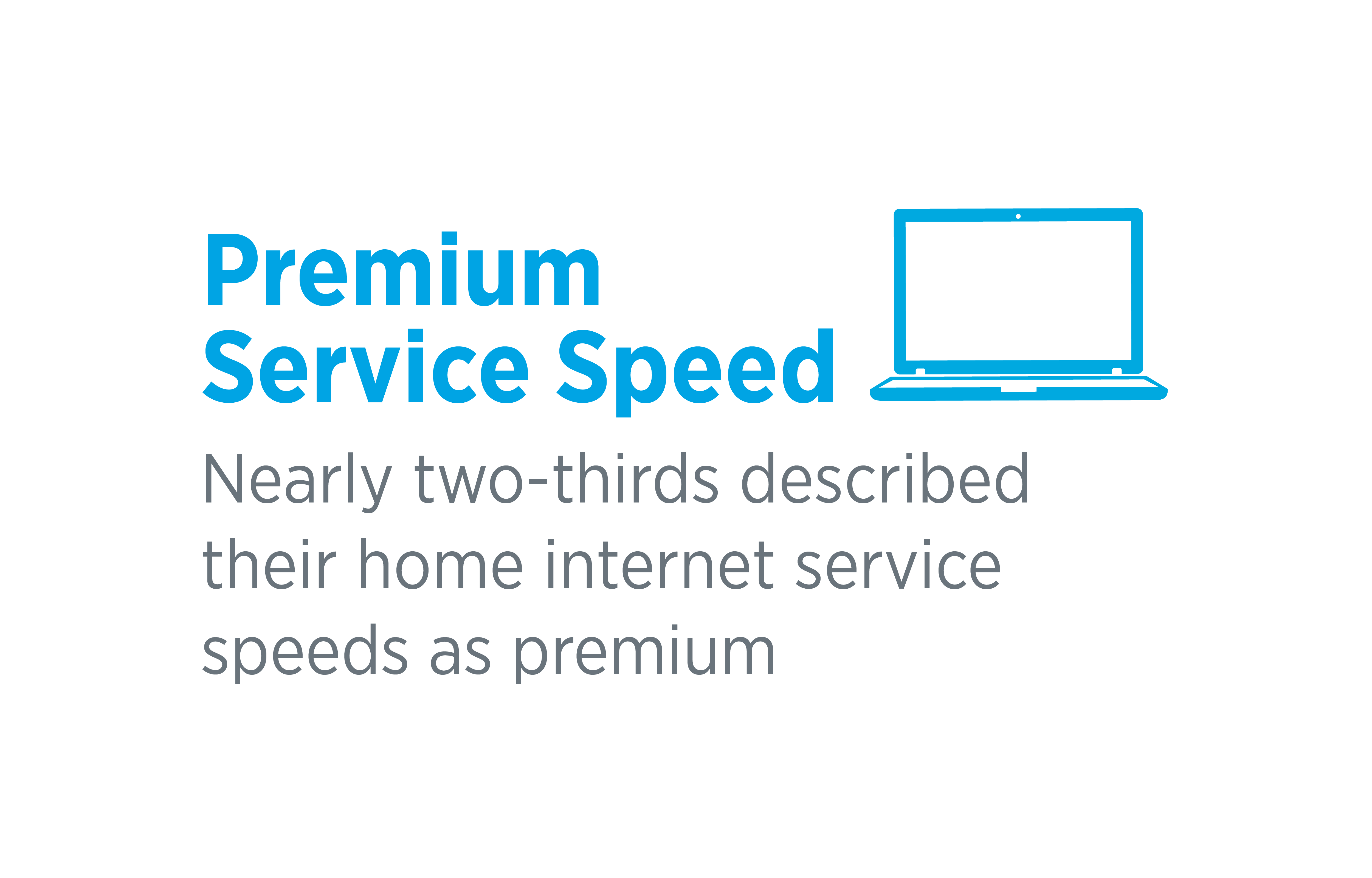 nearly two thirds described their home internet service as premium